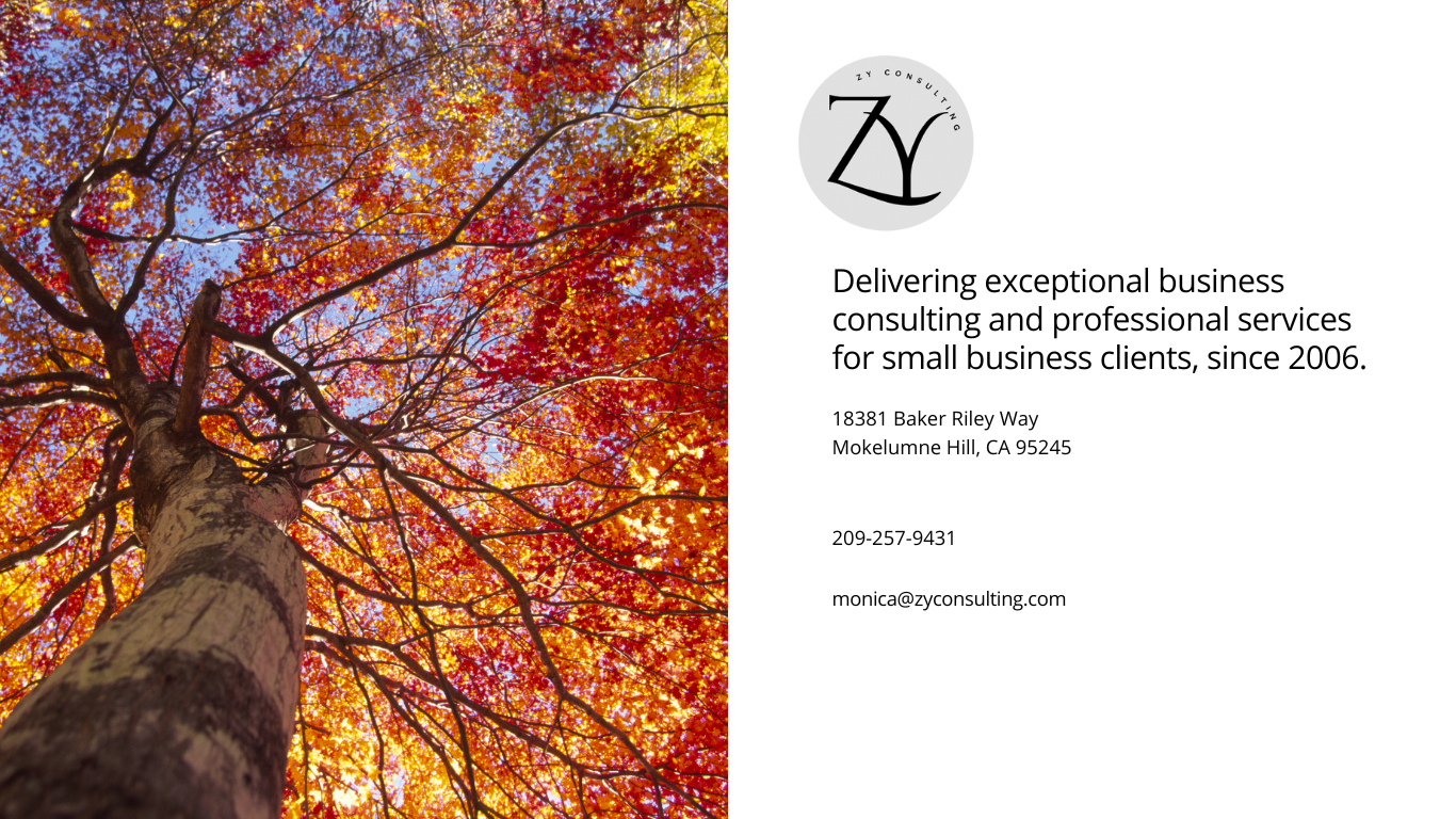 Zy Consulting - Contact Page